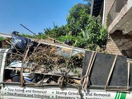 Best Same-Day Junk Removal Services  in Webster City, IA